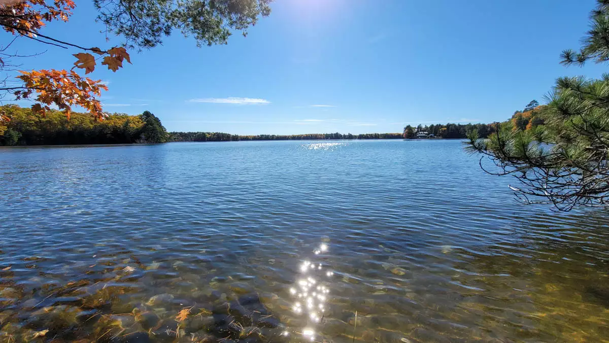 Big Carr Lake image 2