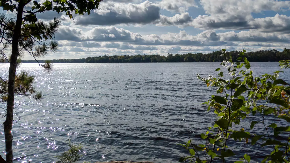 Big Fork Lake image 3