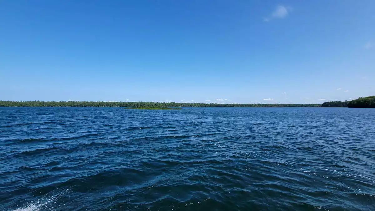 Big Muskellunge Lake image 9