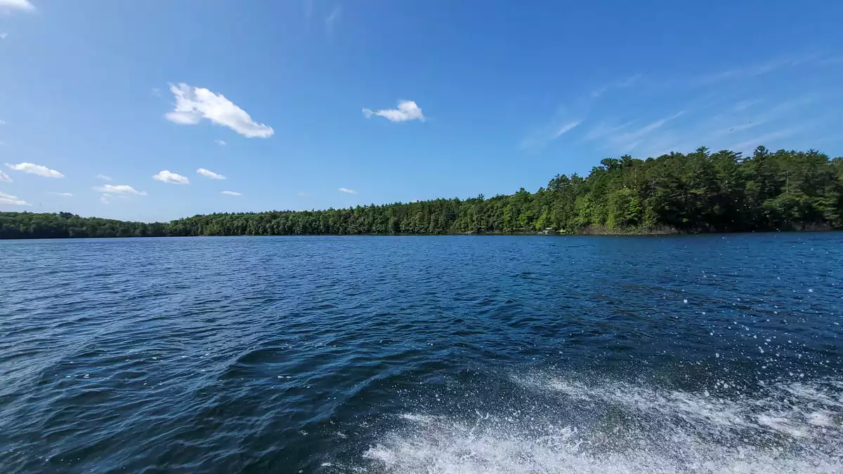 Big Muskellunge Lake image 11