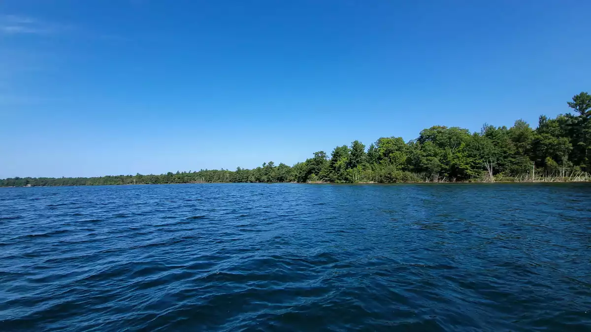 Big Muskellunge Lake image 14