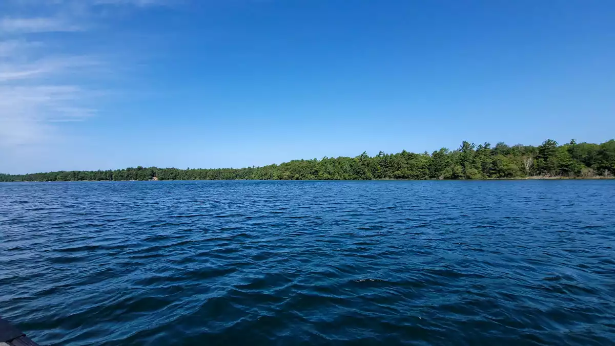 Big Muskellunge Lake image 17
