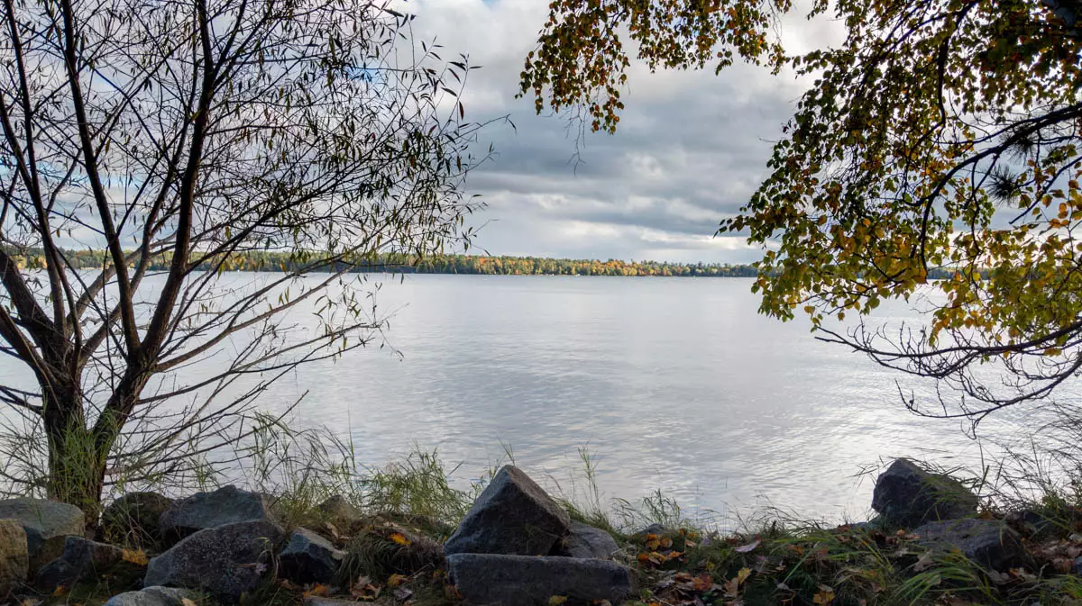 Big St. Germain image 2