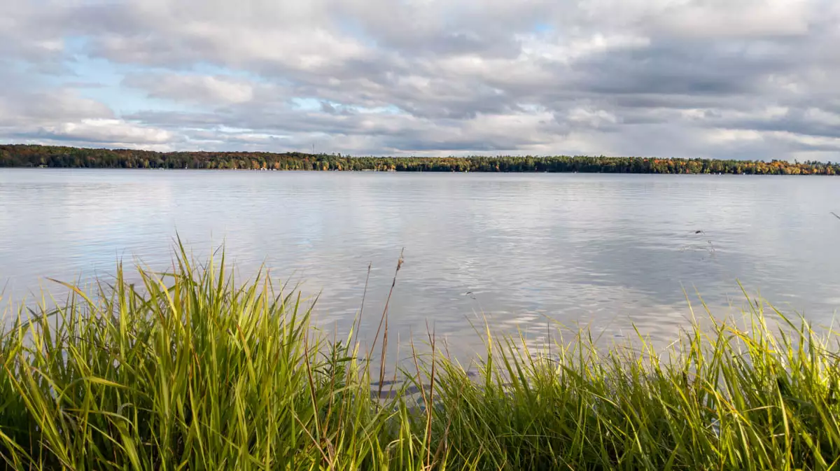 Big St. Germain image 3