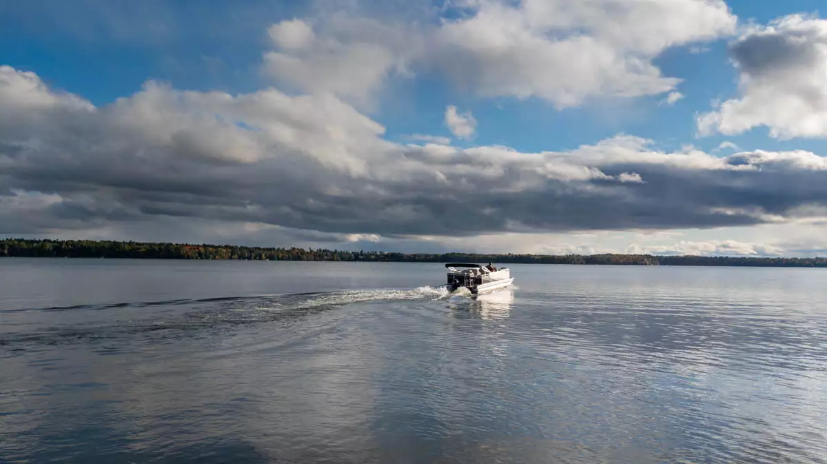 Big St. Germain image 4