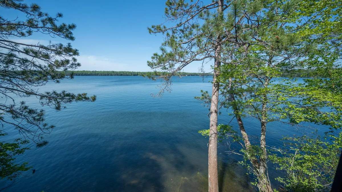 Black Oak Lake image 4