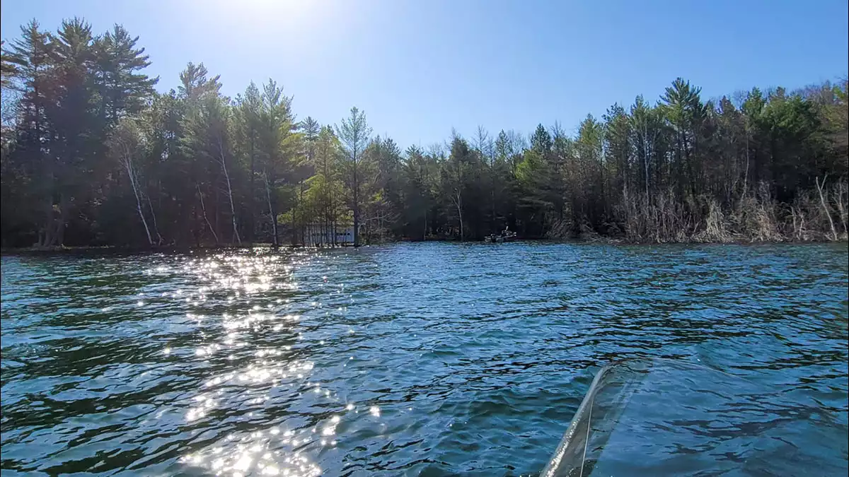 Black Oak Lake image 8