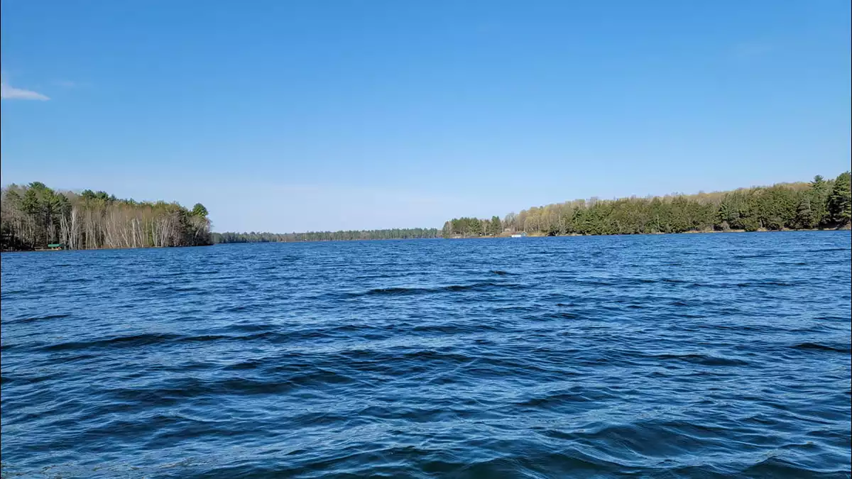 Black Oak Lake image 9