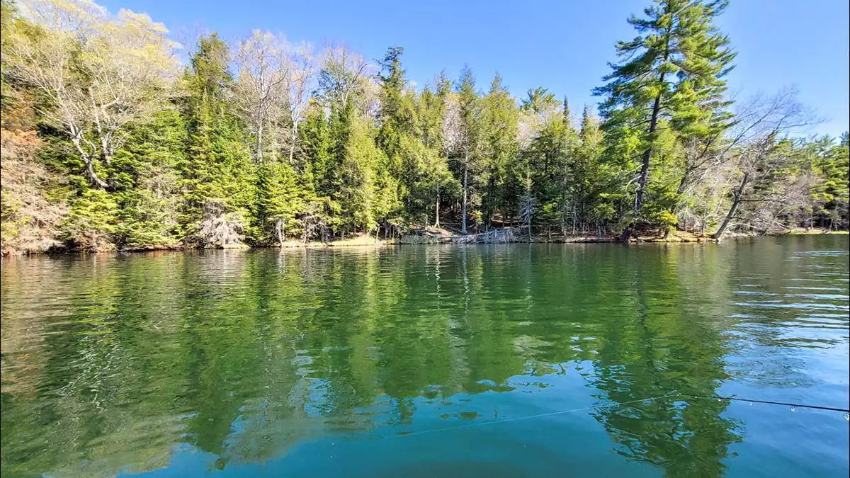 Black Oak Lake image 10