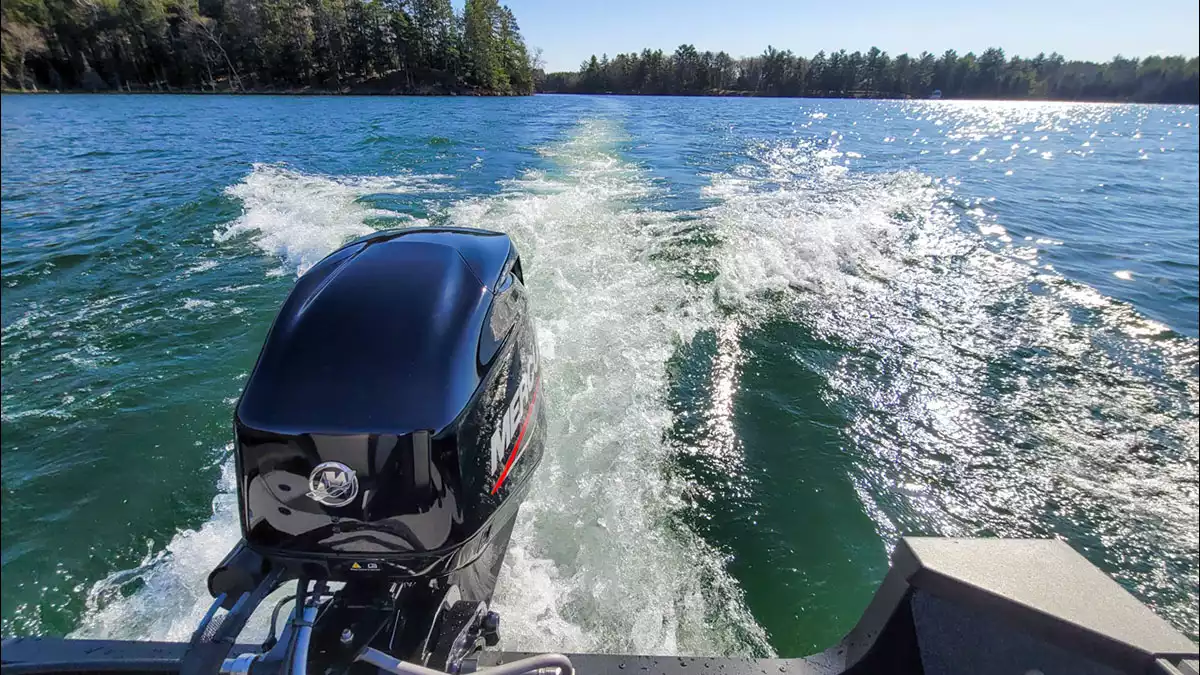 Black Oak Lake image 11