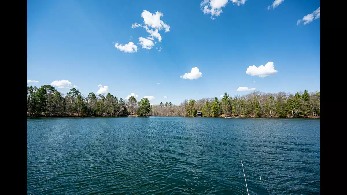 Black Oak Lake image 18