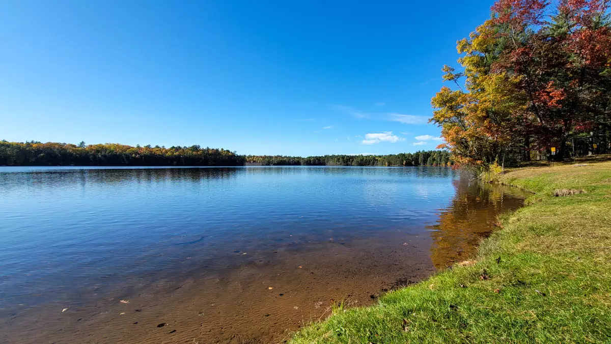 Buffalo Lake image 2