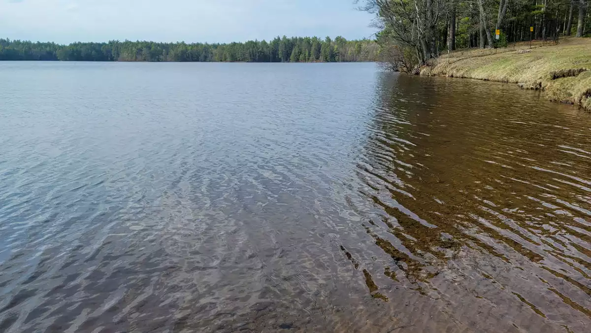 Buffalo Lake image 3