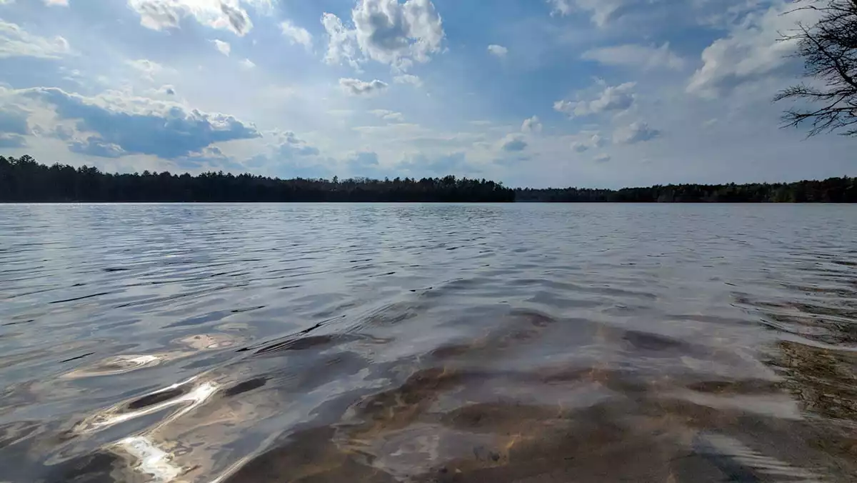 Buffalo Lake image 4