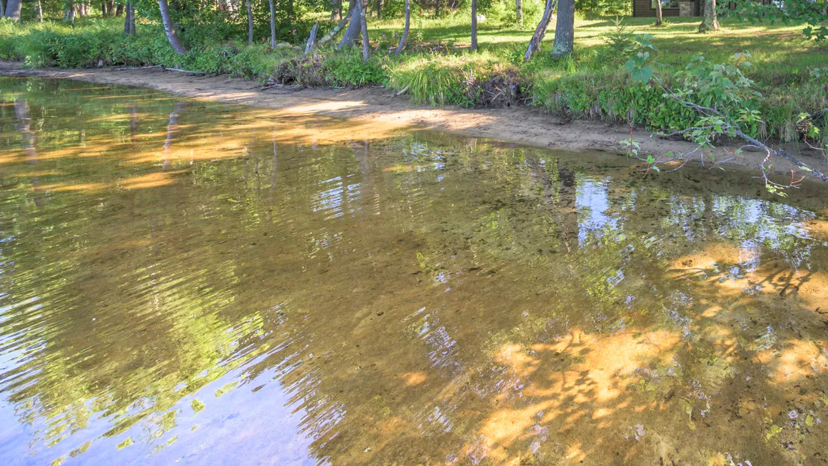 Clearwater Lake image 2