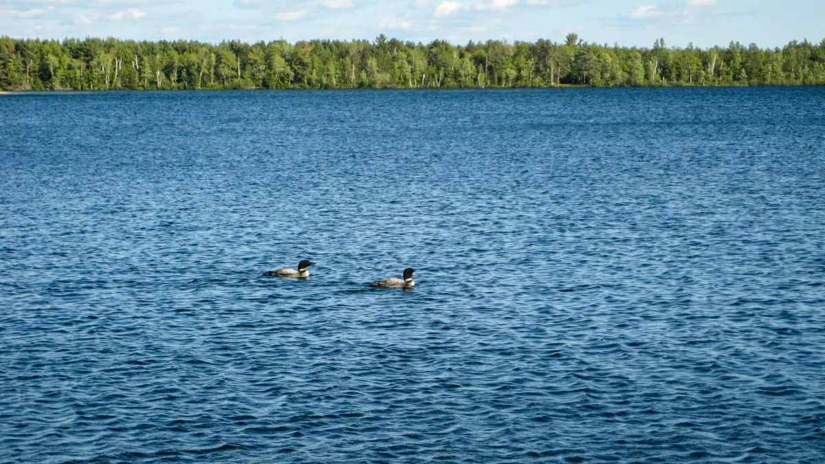 Clearwater Lake image 3