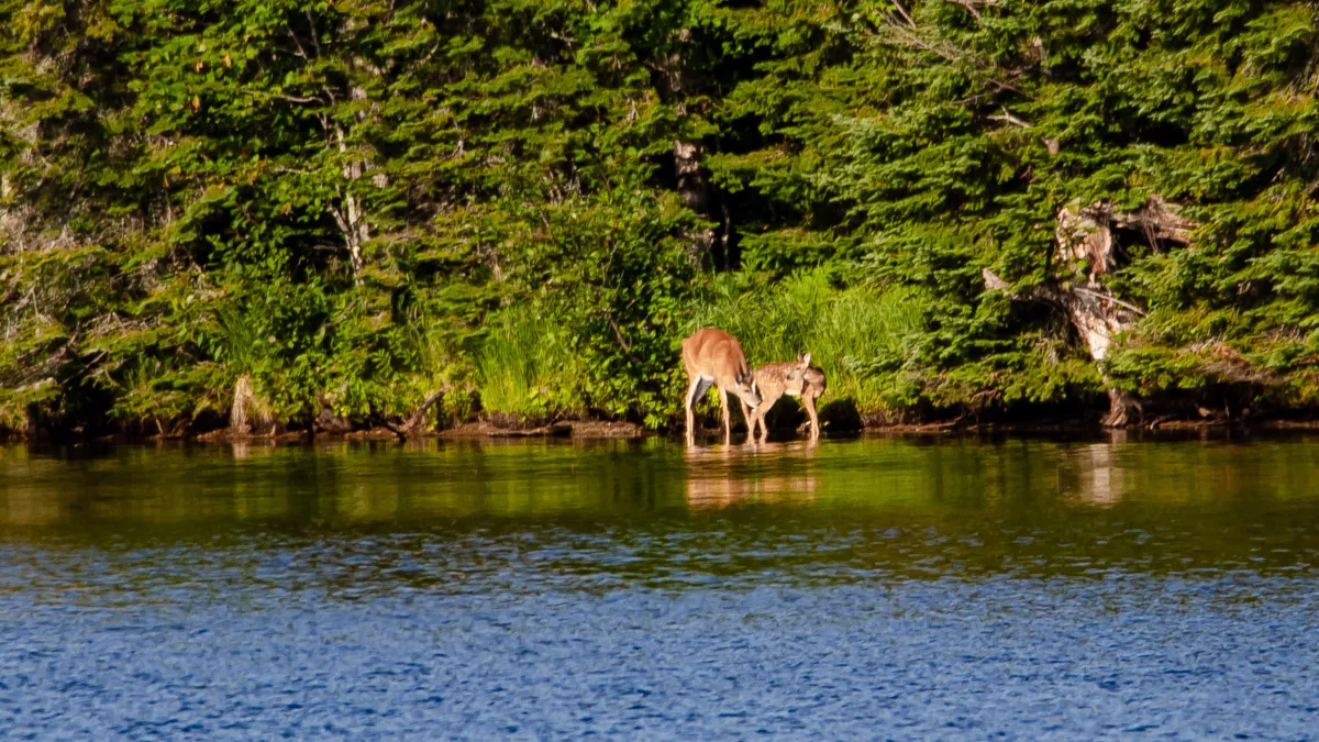 Clearwater Lake image 9