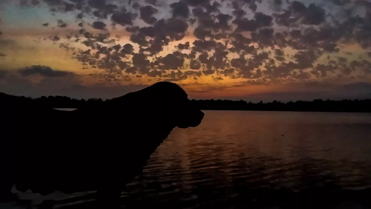 Clearwater Lake image 14