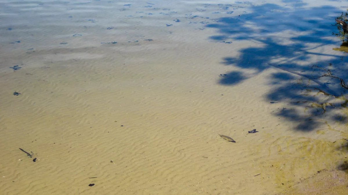 Clearwater Lake image 18