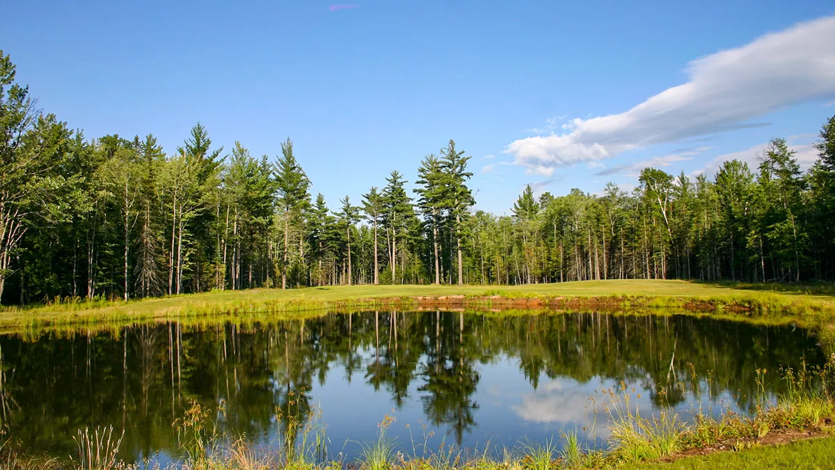 Clearwater Lake image 19
