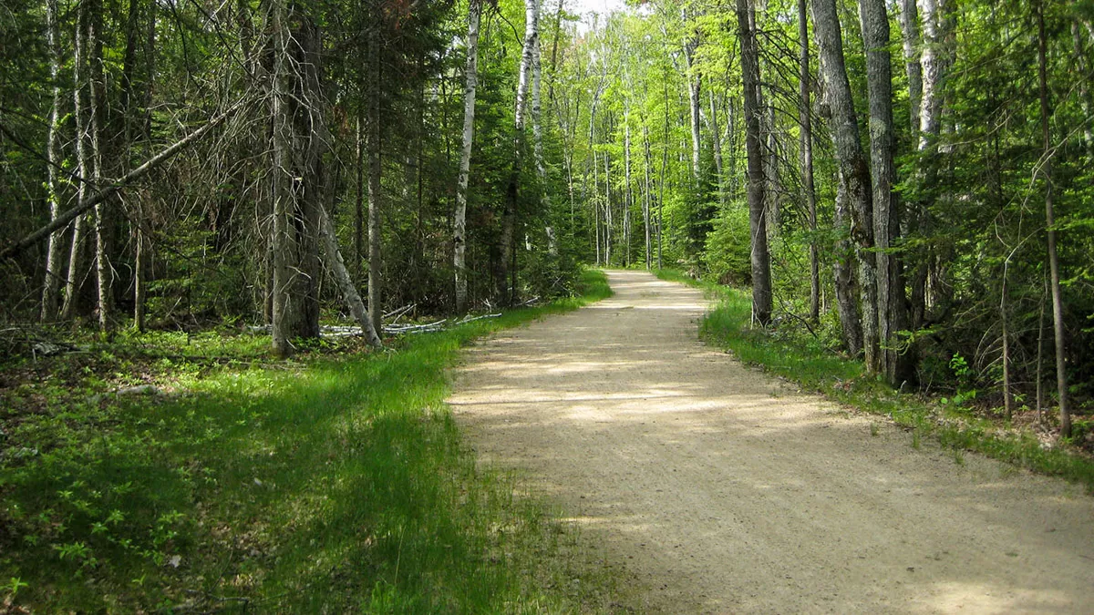 Clearwater Lake image 21