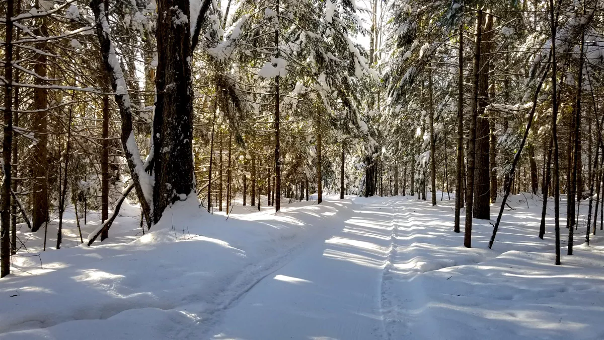 Clearwater Lake image 23