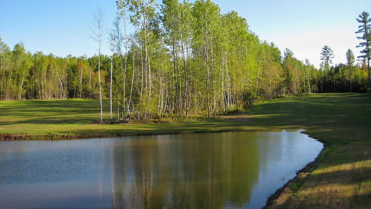 Clearwater Lake image 27