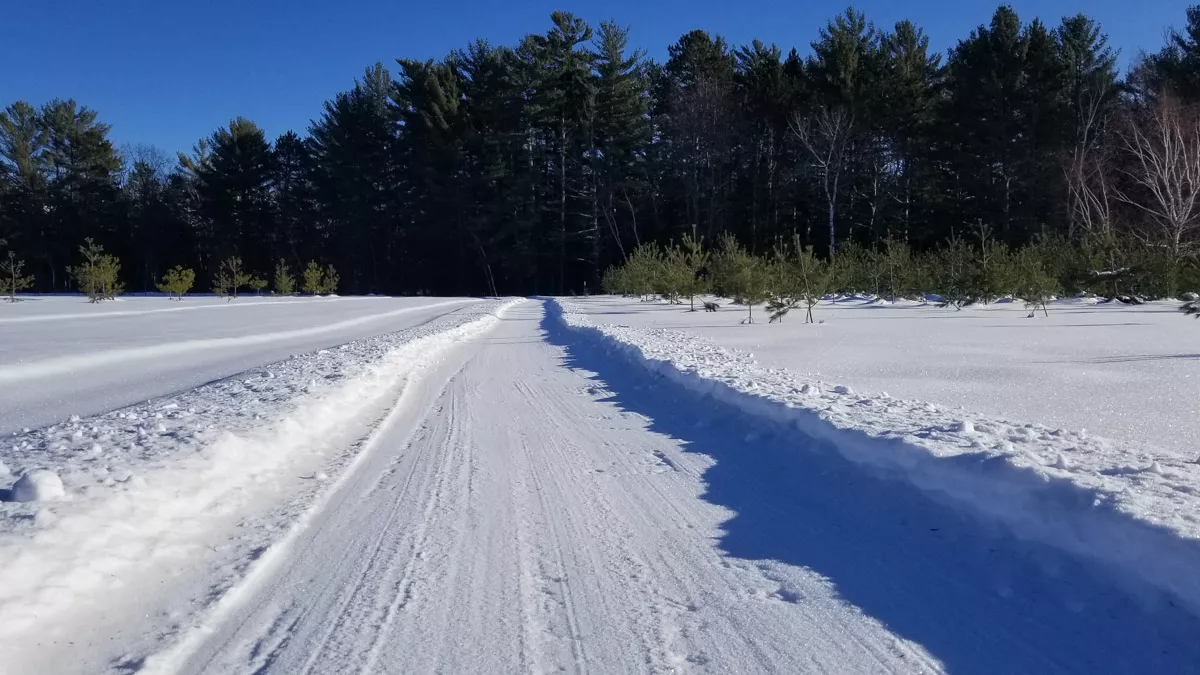 Clearwater Lake image 30