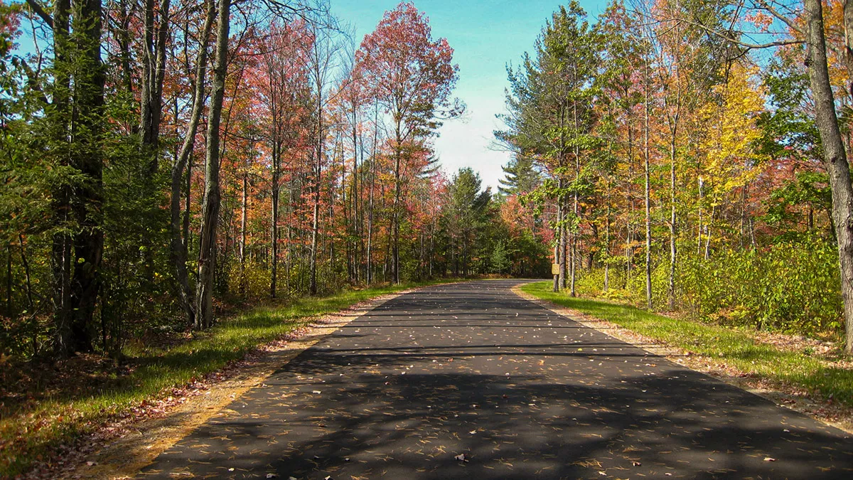 Clearwater Lake image 31