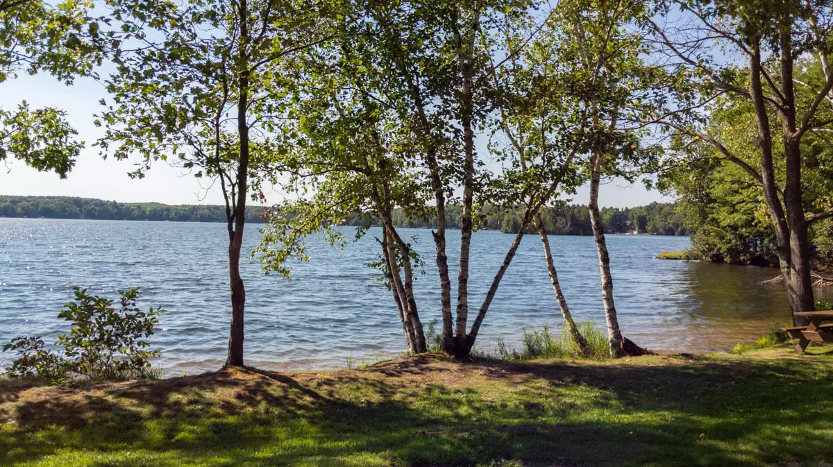 Crescent Lake image 8