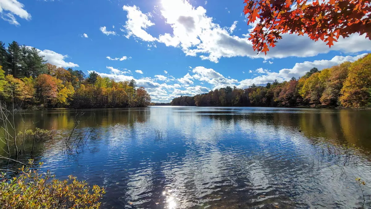 Diamond Lake image 2