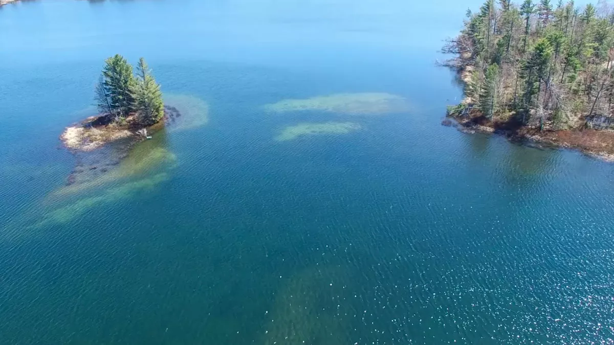 Franklin Lake image 10