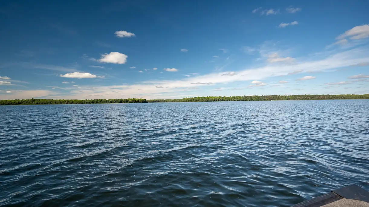 Harris Lake image 11