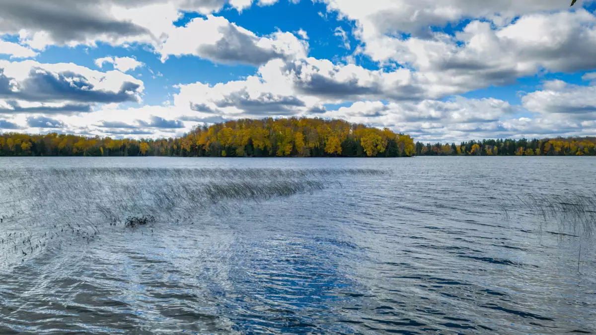 Horsehead Lake image 2
