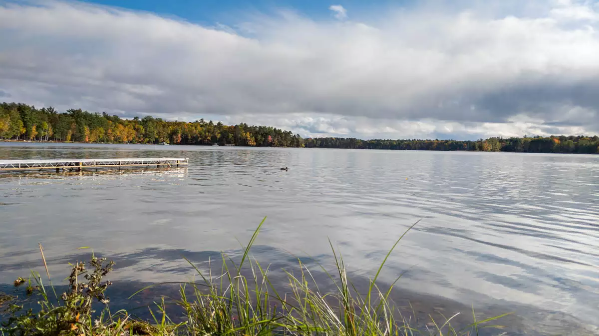 Little St. Germain image 2