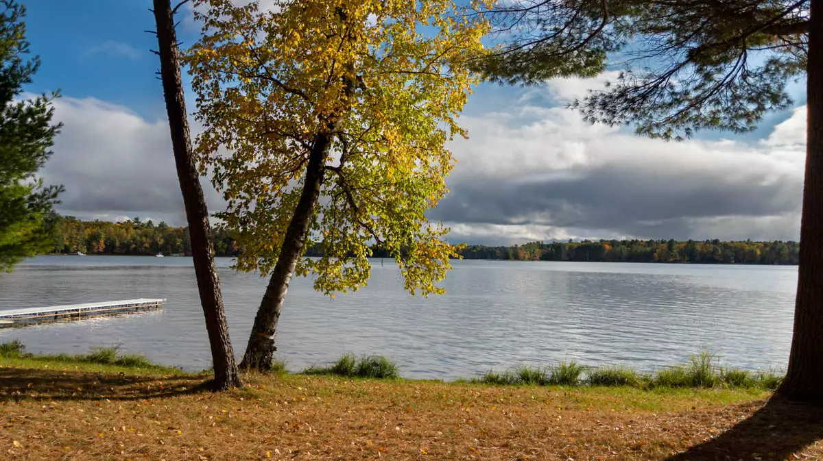 Little St. Germain image 3