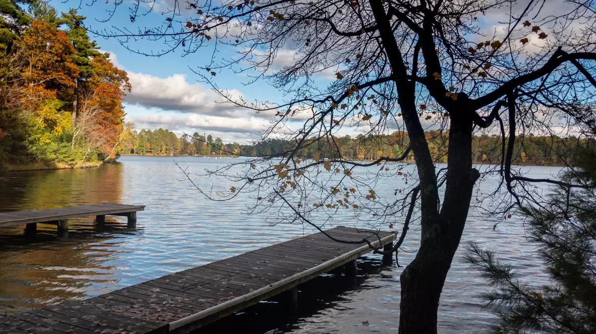 Little St. Germain image 4