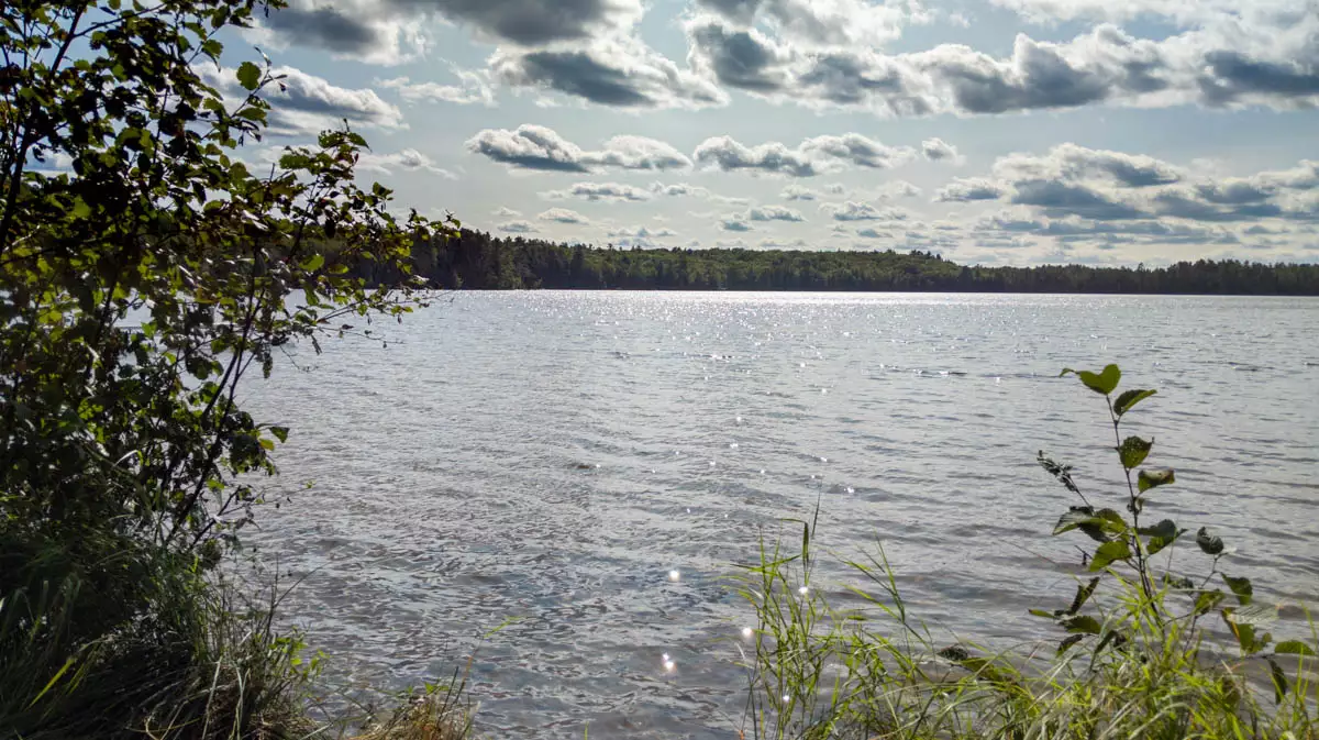 Lone Stone Lake image 4