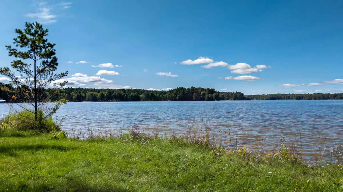 Lower Buckatabon Lake image 3