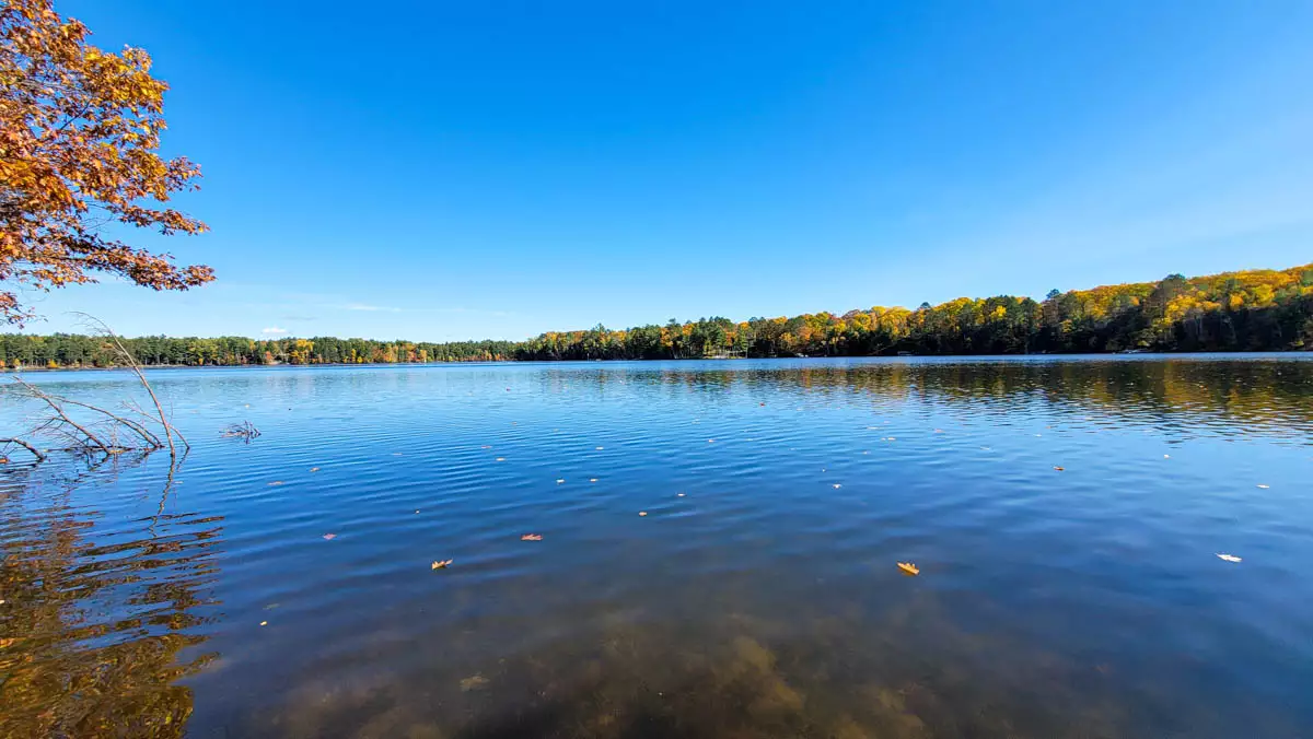 Lower Kaubashine Lake image 2