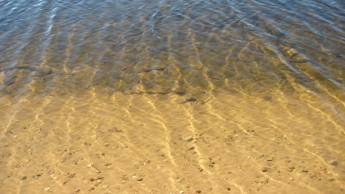 North Two Lake image 8