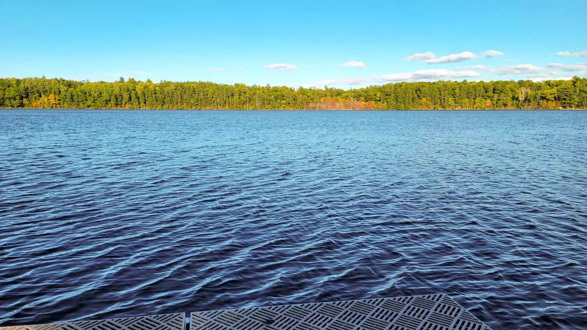 Plummer Lake image 2