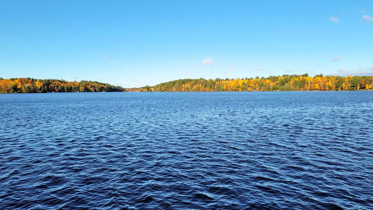 Scattering Rice Lake image 2