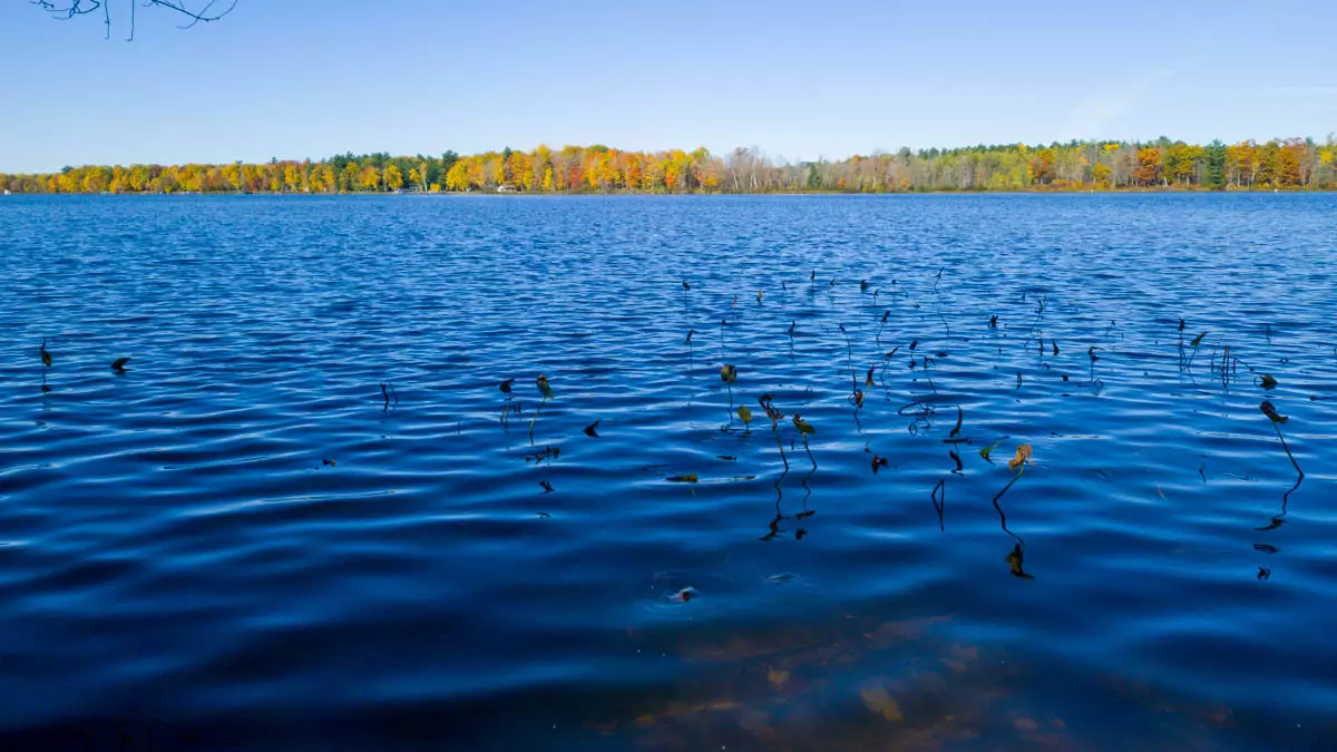 Shishebogama Lake image 2
