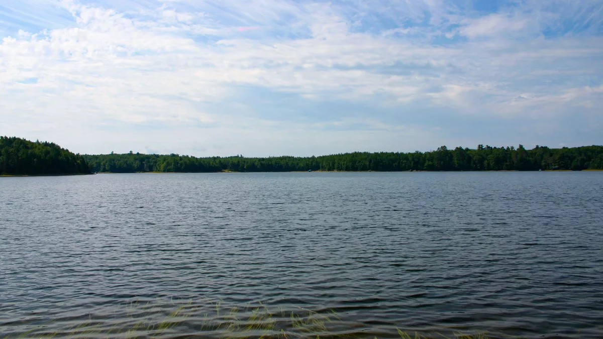 South Two Lake image 4