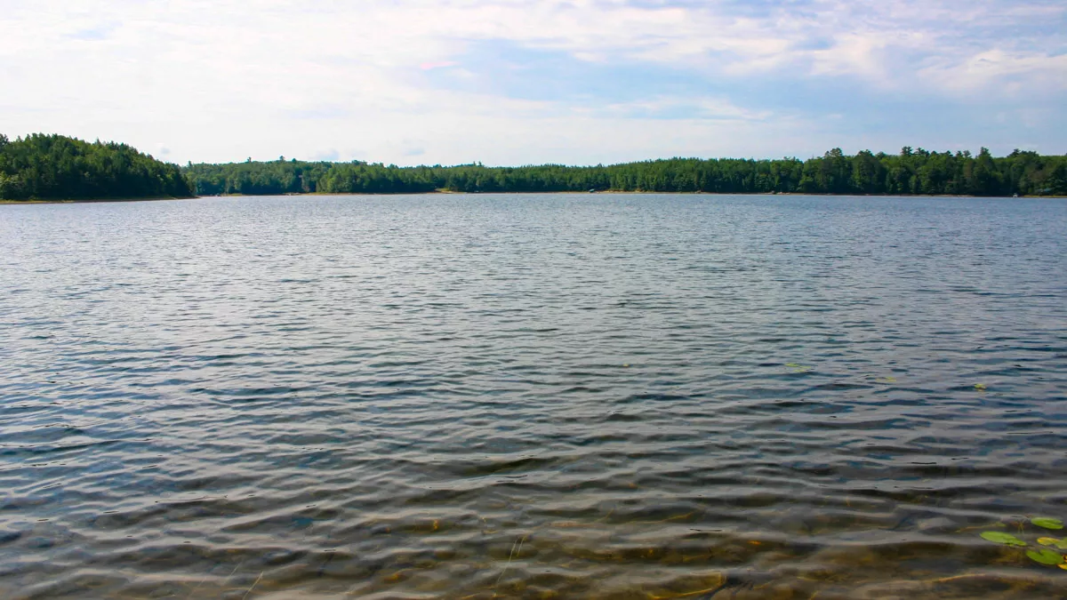 South Two Lake image 5