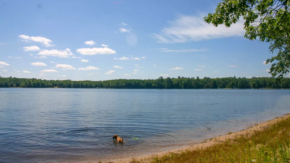 South Two Lake image 6