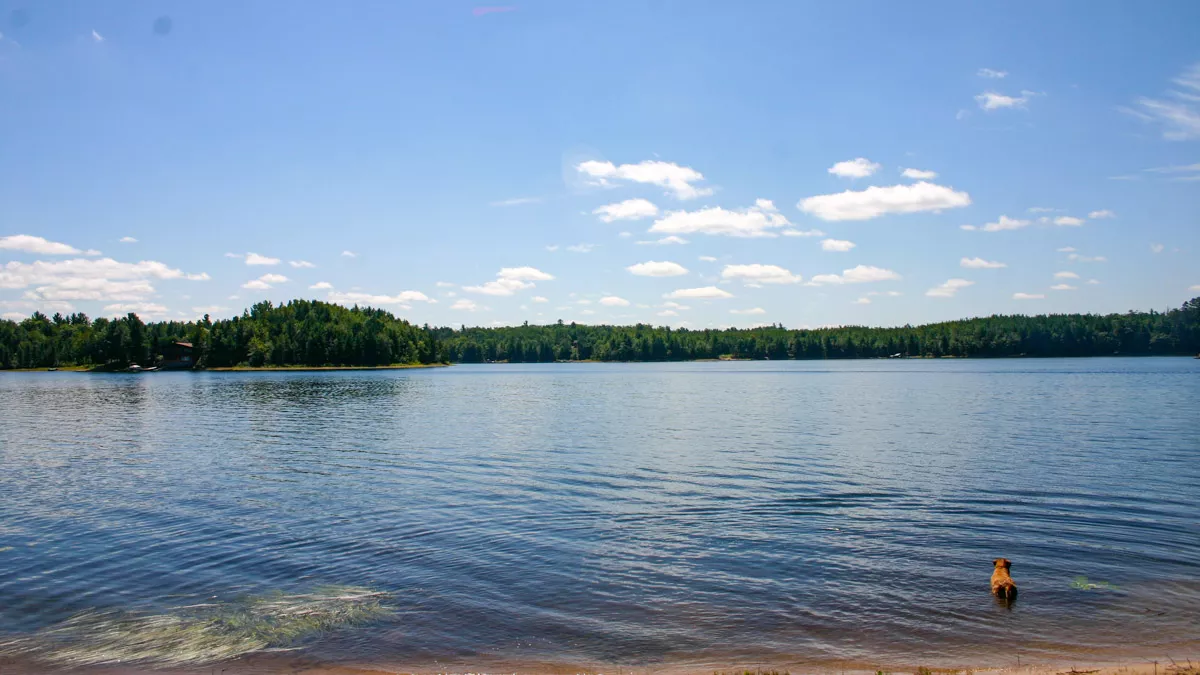 South Two Lake image 7