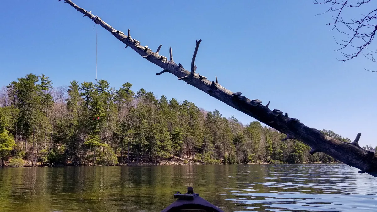 Two Sisters Lake image 4