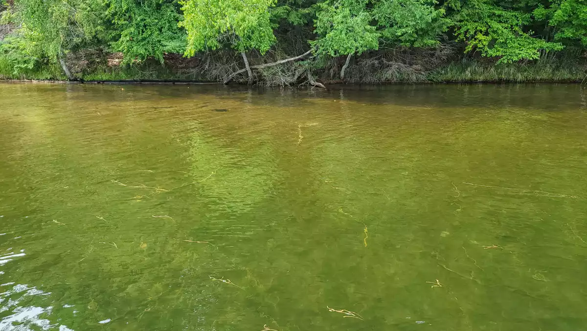 Two Sisters Lake image 30